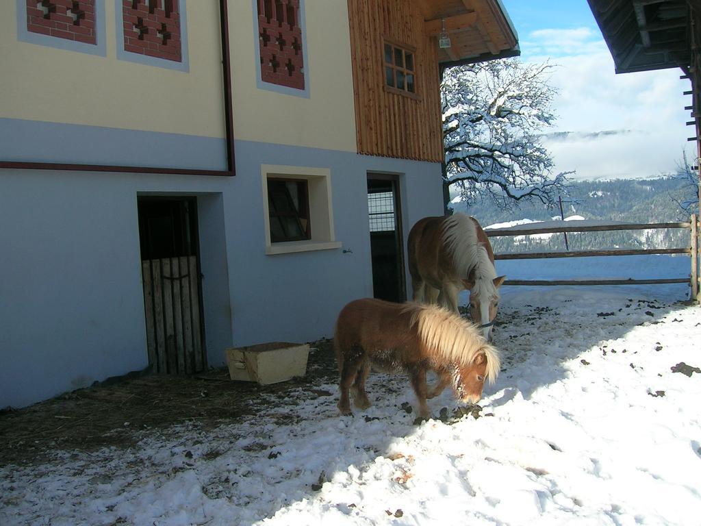 Kollerhof Apartment Schlanitzen Екстериор снимка
