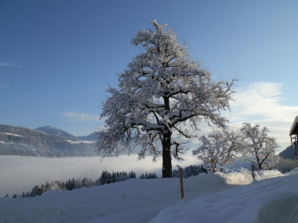 Kollerhof Apartment Schlanitzen Екстериор снимка